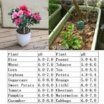 3 Way Soil Meter For Moisture, Light Intensity and pH Testing Meter