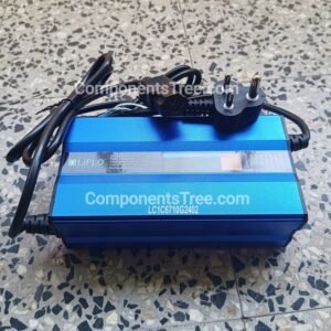 67.2V 10A Electric Vehicle Lithium Battery Bike/Scooter Charger - LiFLO Make